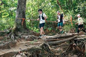 BIB: 
                            <button type="button" onclick="openModal(27558433)" class="btn btn-primary btn-sm float-right btn-popup" data-toggle="modal" data-target=".modal-high-quality">
                        <i class="fas fa-shopping-cart"></i> Add to Cart
                    </button>
                                            <button type="button" onclick="isThisMe(27558433, true)" class="btn btn-success btn-sm float-right btn-popup btn-isme hidden" data-toggle="tooltip" data-placement="bottom" title="นี่คือรูปของคุณใช่ไหม คลิกที่นี่เพื่อเอาเข้าอัลบั้ม">
                        <i class="fas fa-plus"></i> Add to album
                    </button>
                    <button type="button" onclick="isThisMe(27558433, false)" class="btn btn-warning btn-sm float-right btn-popup btn-isnotme hidden">
                        <i class="fas fa-ban"></i> Remove from album
                    </button>